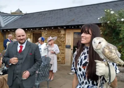 Wedding guests enjoying our display of birds of prey