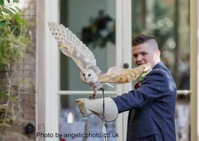owl ring bearer barn owl retuning in flight