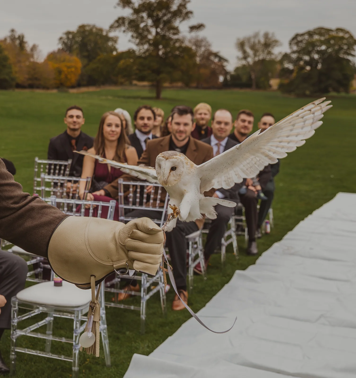 barn-owl-ring-bearer-hinwick-house-wedding-northamptonshire